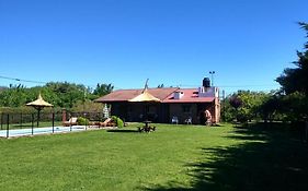 Las palmeras